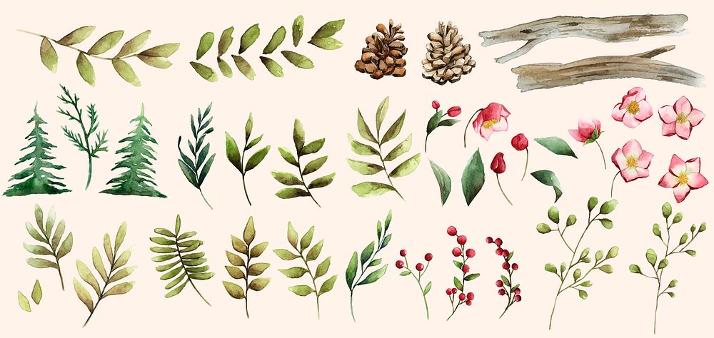 Watercolor set of winter flowers and leaves vector