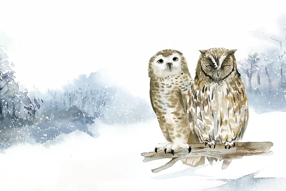 Pair of owls in a winter wonderland watercolor style vector