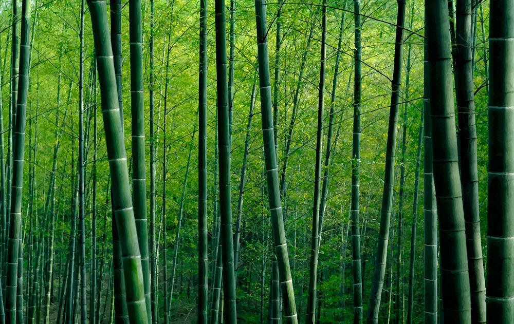 Green bamboo forest textured wallpaper