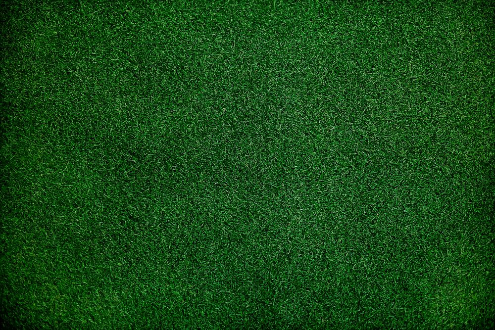 Green grass wallpaper with design space