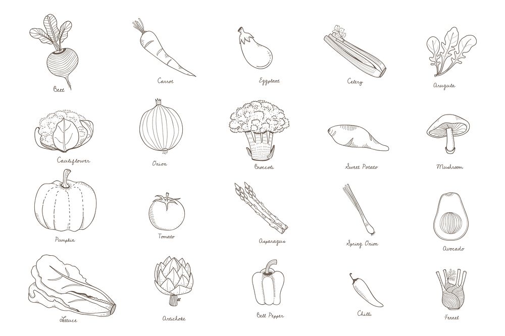 Drawing set of mushrooms