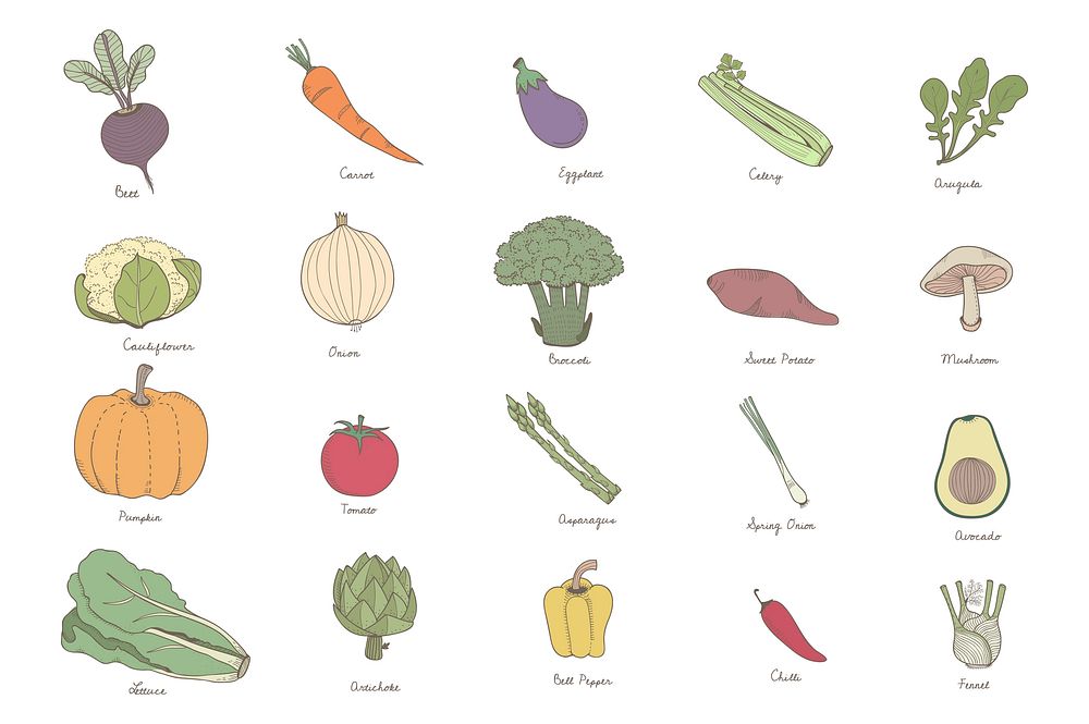 Colored illustration set of labeled vegetables