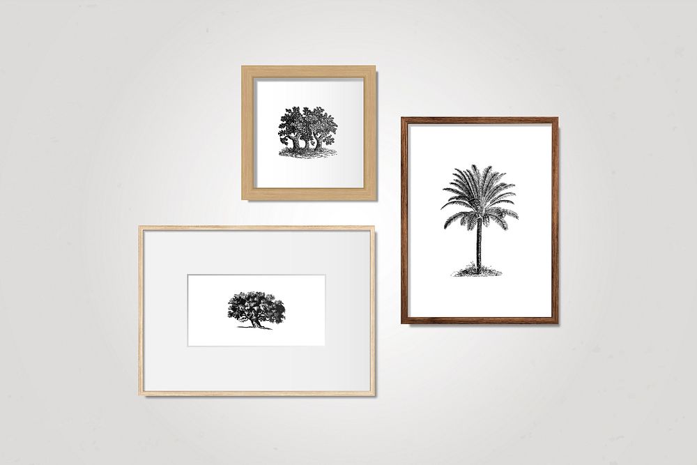 Tree frame collection on a wall vector