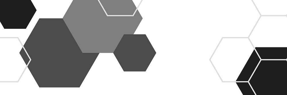 Black and white hexagon geometric pattern banner vector