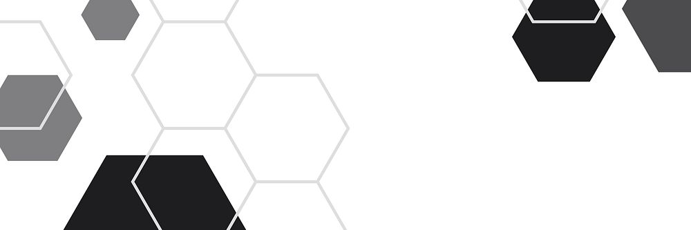 Black and white hexagon geometric pattern banner vector