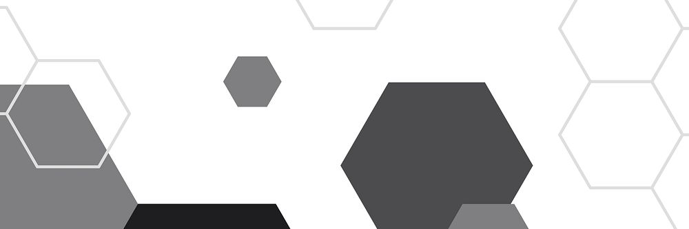 Black and white hexagon geometric pattern banner vector