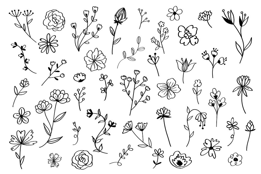 Various flowers doodle collection vector