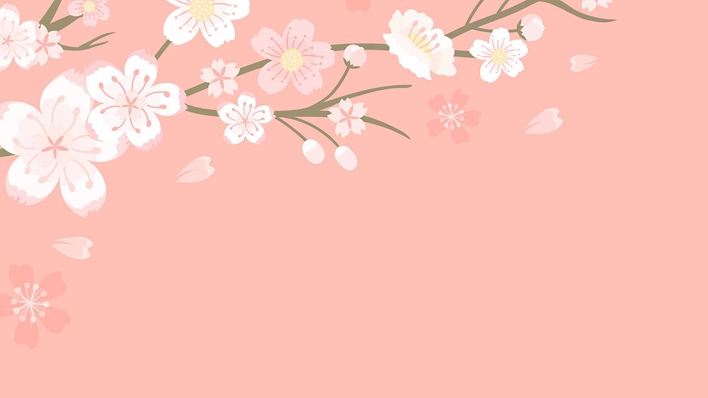 Pink Sakura desktop wallpaper, spring cherry blossom bloom background 