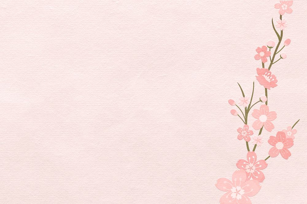 Spring background psd with pink sakura flower