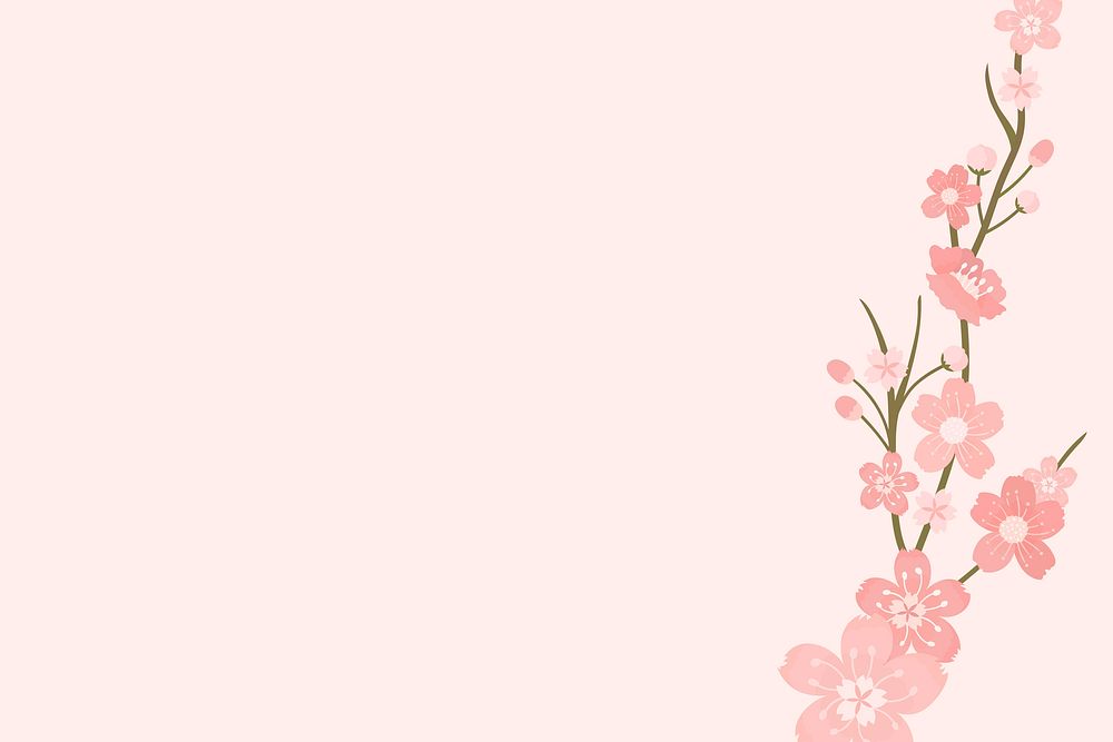 Spring background vector with pink sakura flower