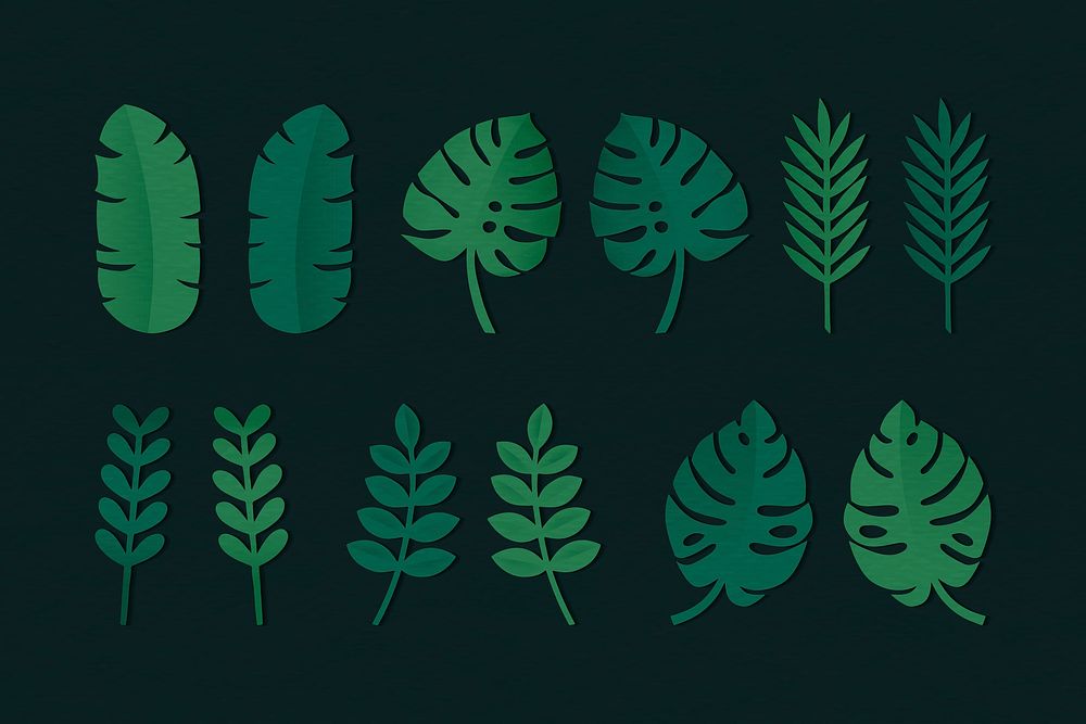 Tropical leaves on background vector collection
