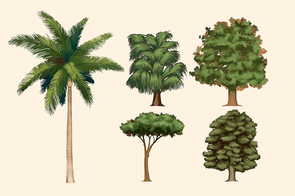 Hand drawn trees vector set