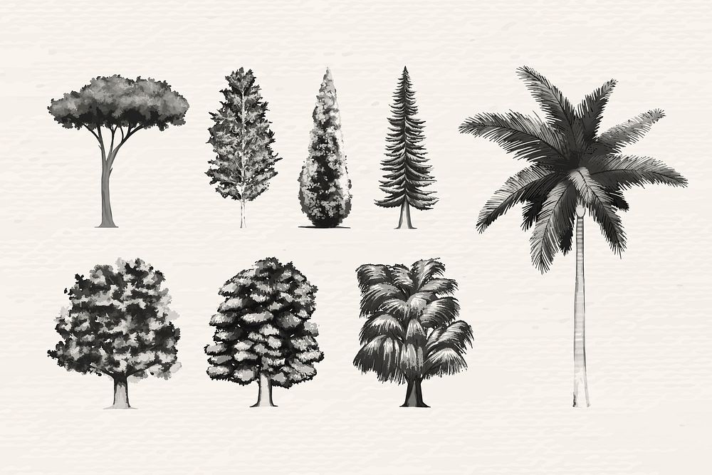 Tree Drawing Vector Art & Graphics | freevector.com