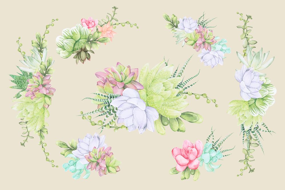 Hand drawn succulent design elements vector set