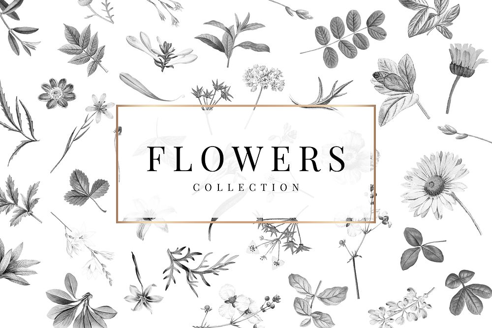 Flowers collection on a white background vector