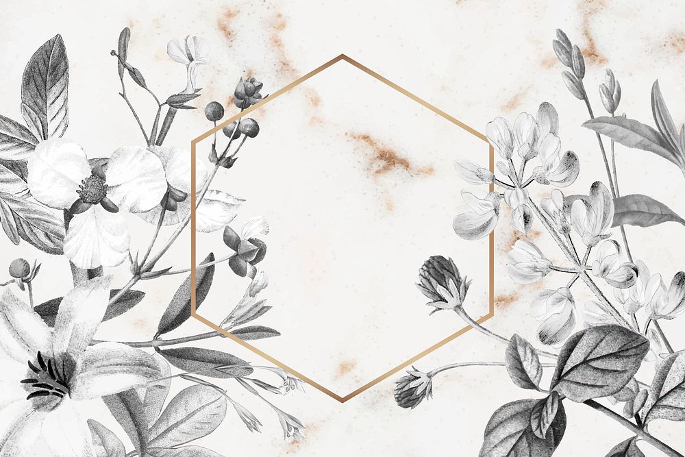Blank hexagon floral frame design vector
