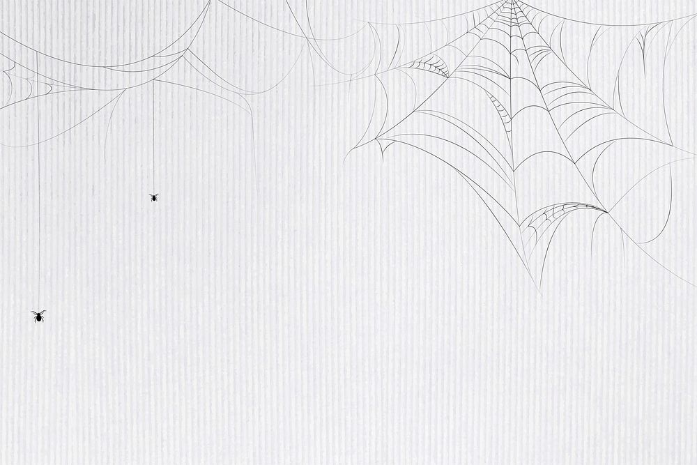 Spider web white background template vector