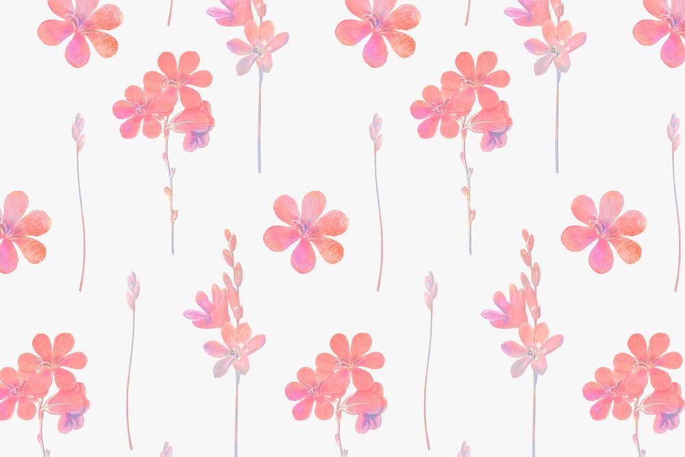 Pink flowers on a white background