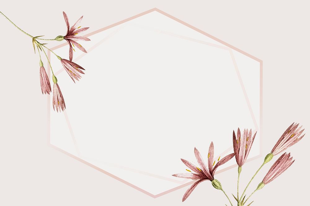 Pink frame with amaryllis montana vector