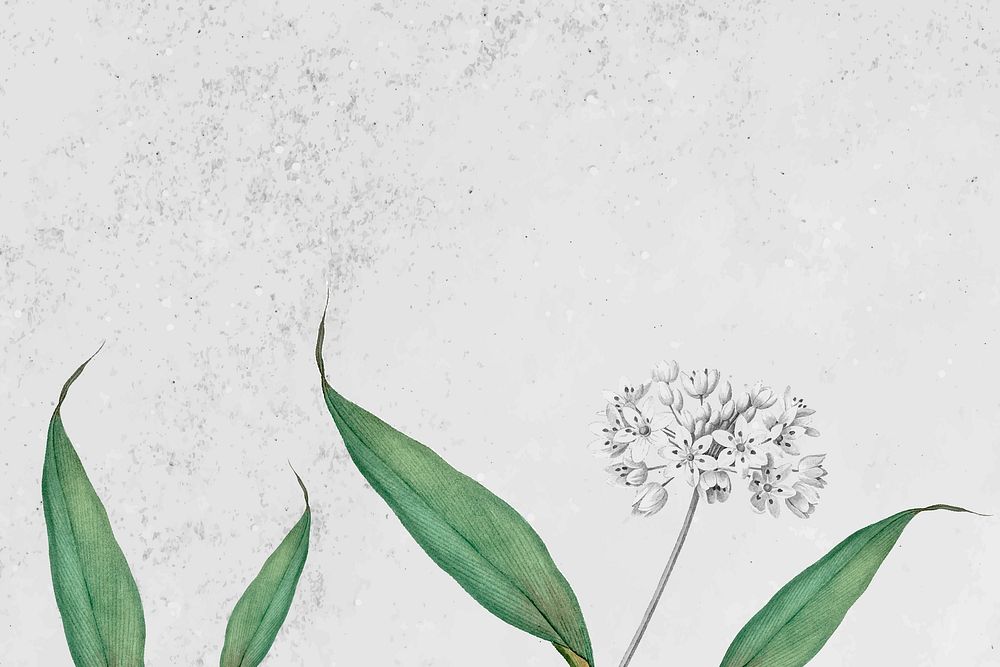 Spring garlic pattern on a grunge gray background vector
