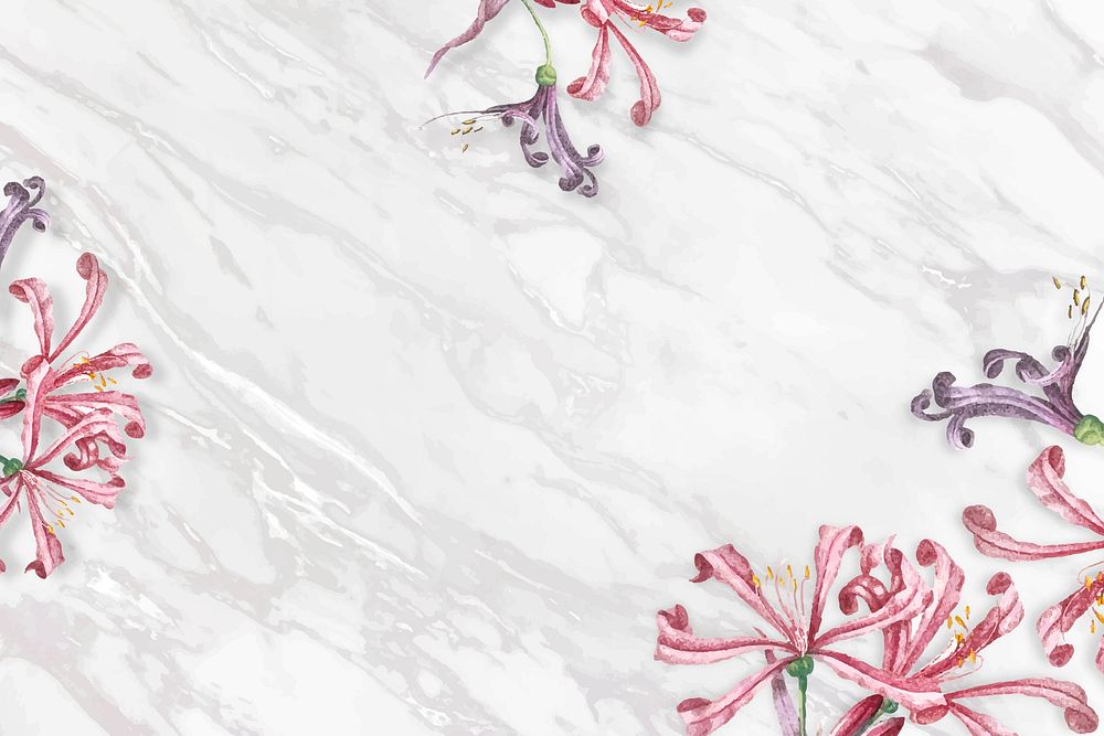 Nerine pattern on a graymarble background vector