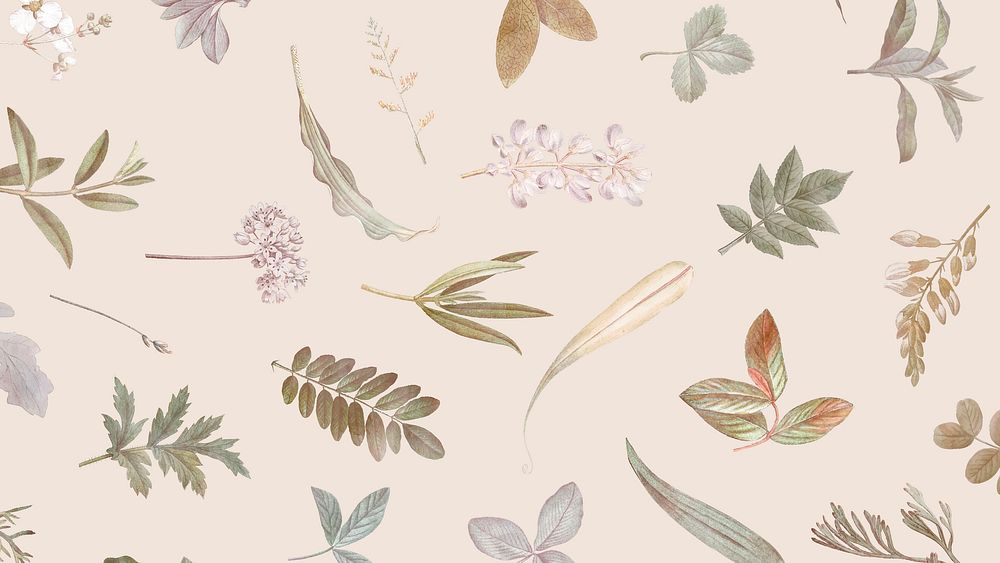 Plant pattern computer wallpaper, cute botanical beige background 
