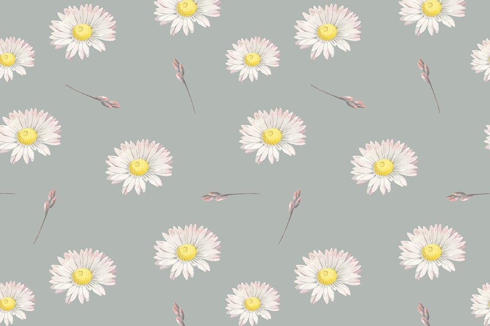 White daisy seamless pattern on gray background vector