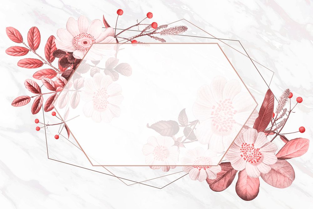 Pink floral hexagon frame vector