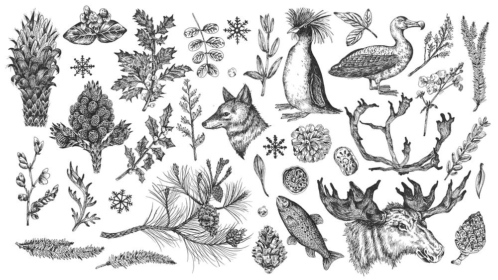 Animal drawing collection in grayscale wallpaper
