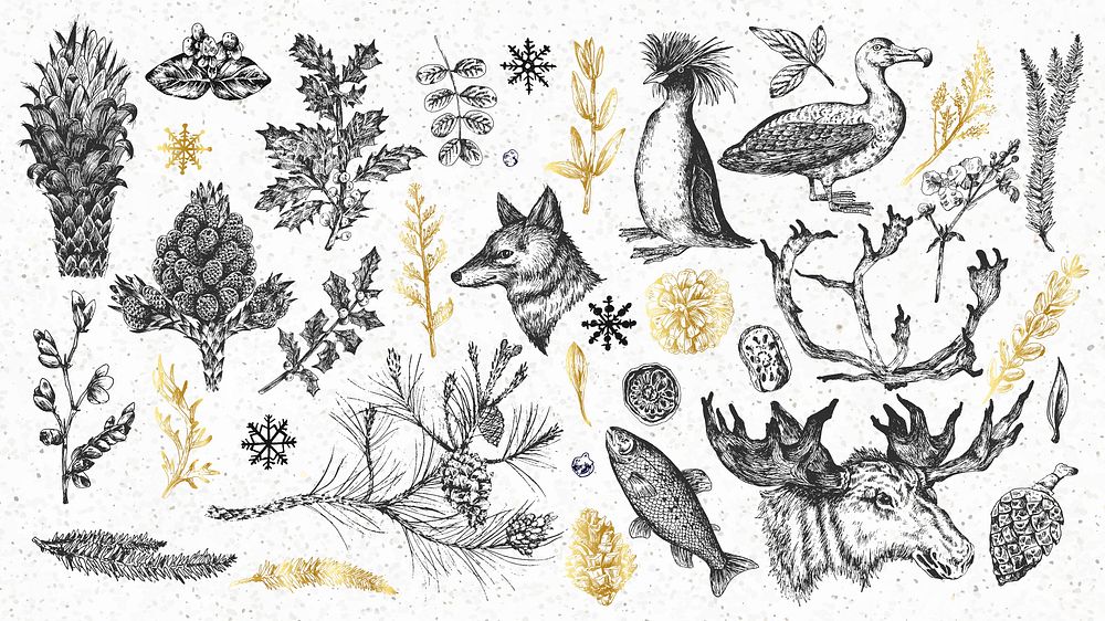 Animal drawing wallpaper collection vector