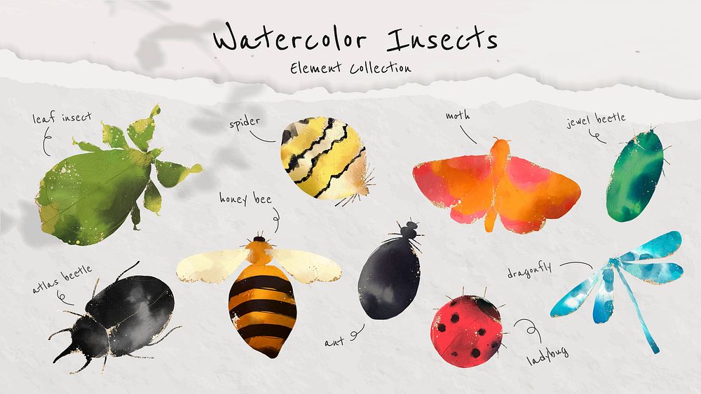 Cute watercolor insects collection vector