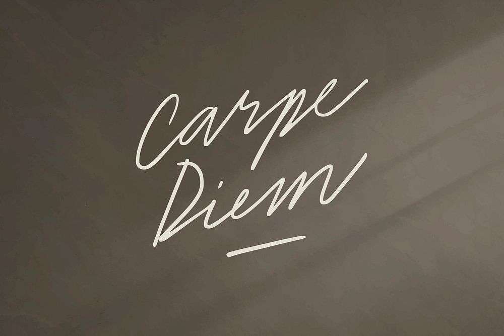 Carpe diem on a black background vector 