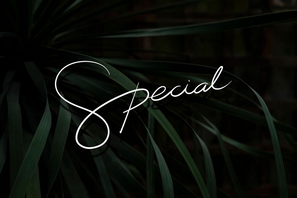 Special text on a leafy background vector