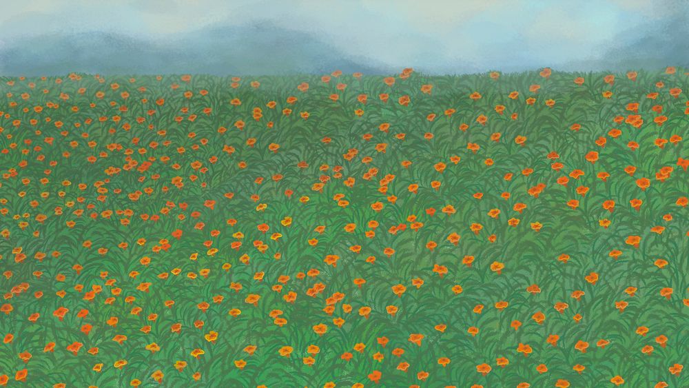 Blooming red poppy garden on the hill background illustration