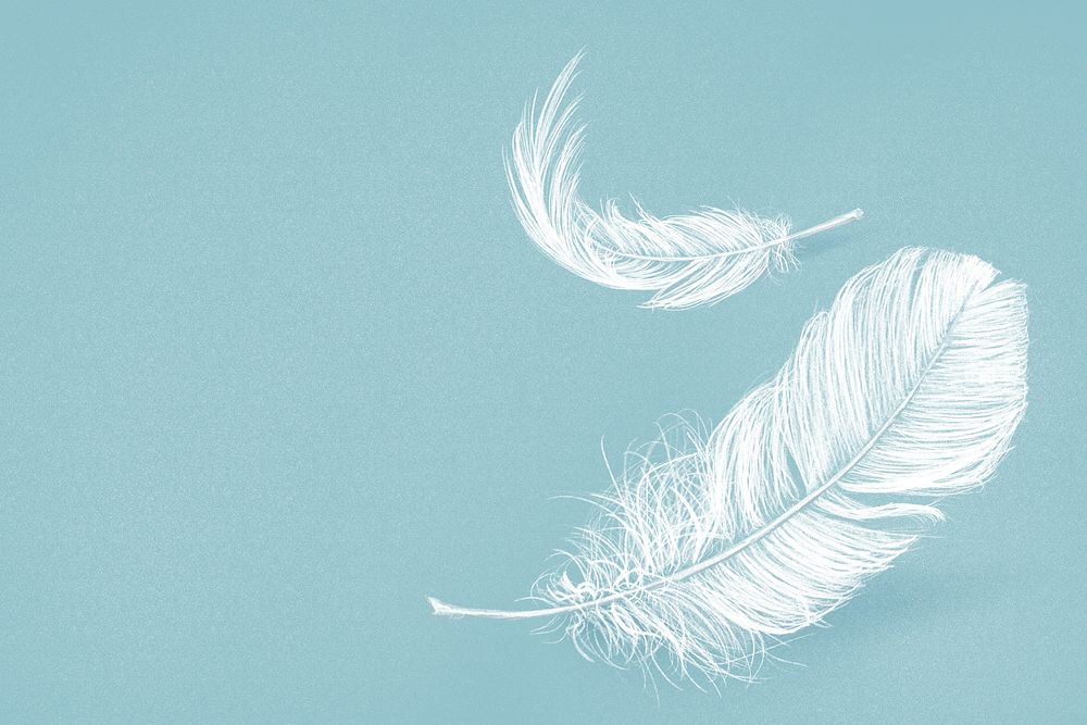 White feather graphic psd on blue background