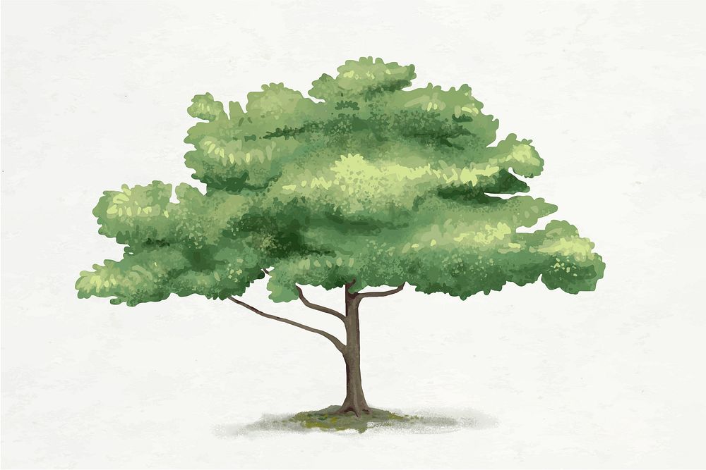 Oak tree element graphic vector on plain background