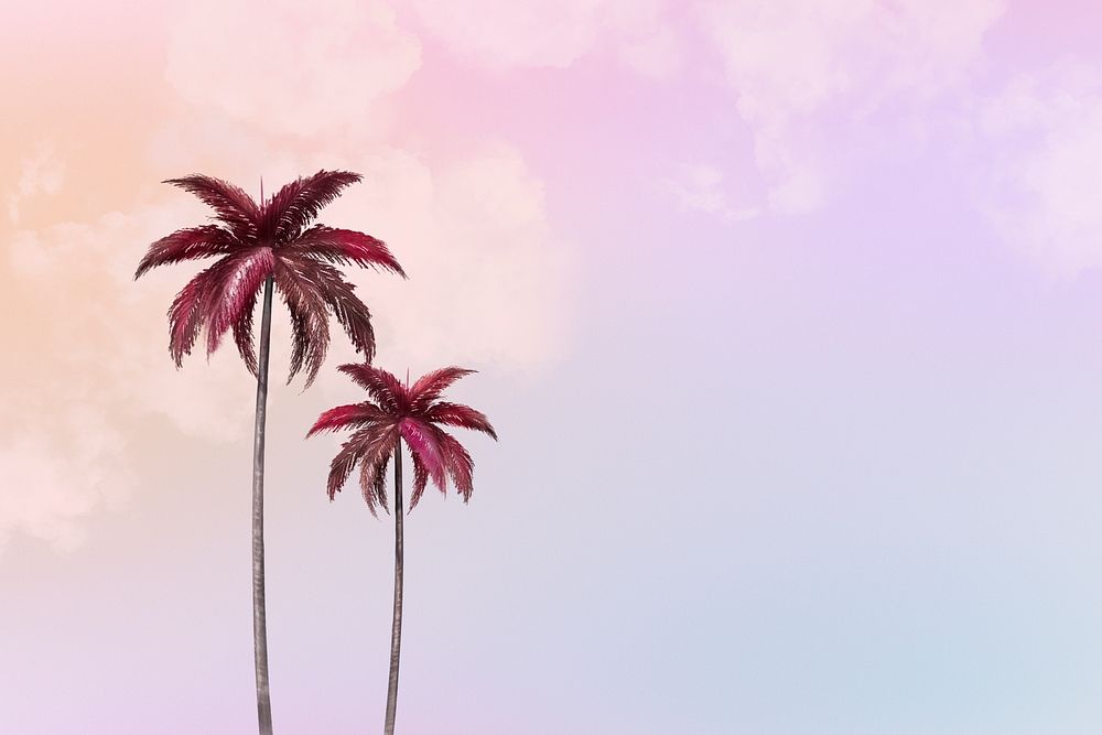 Aesthetic background psd with palm tree