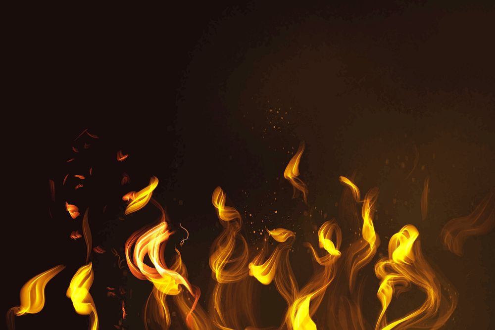 Fire flame element vector in black background