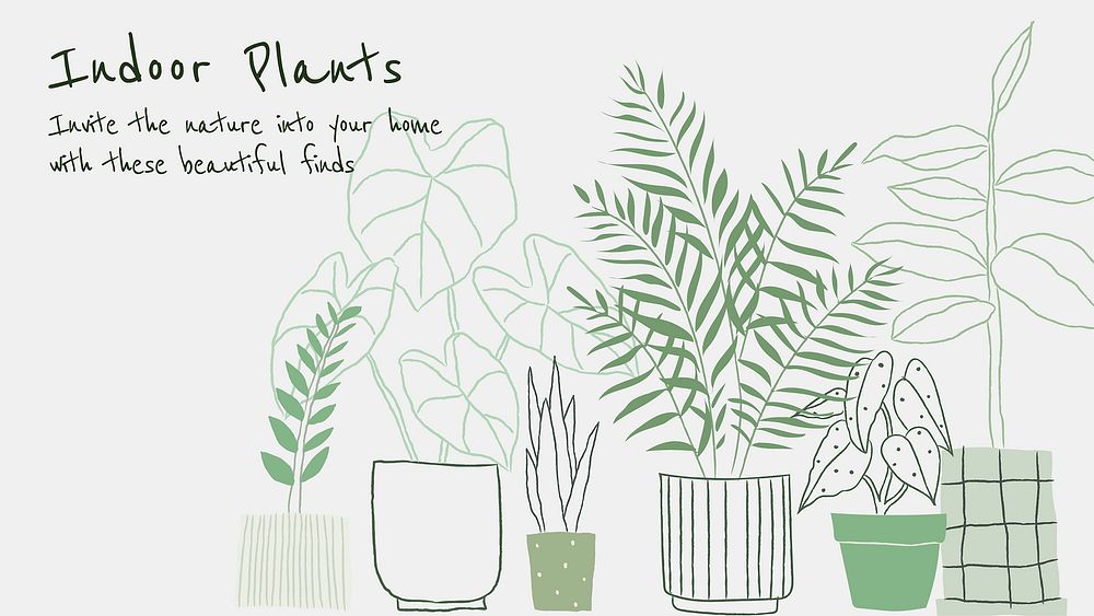 Indoor plants vector template in doodle style blog banner