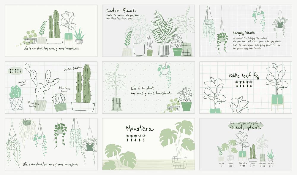 Houseplant botanical template vector set for blog banner