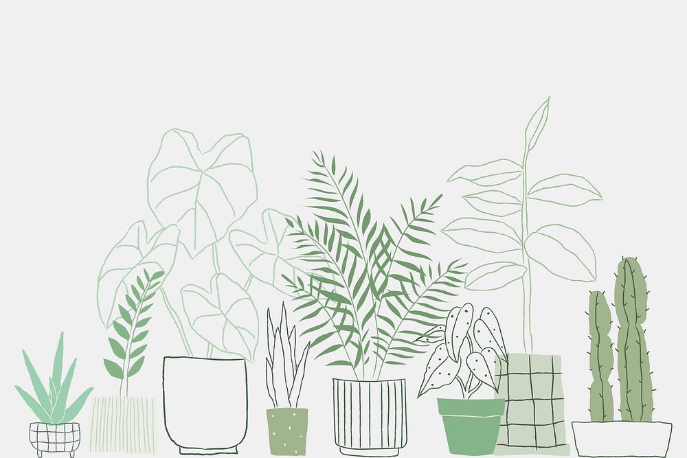 Green houseplant cactus doodle psd background