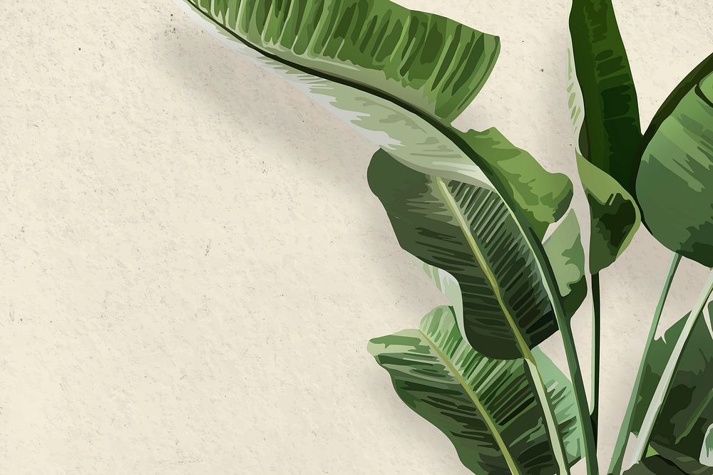 Banana tree background wallpaper vector, green leaf houseplant