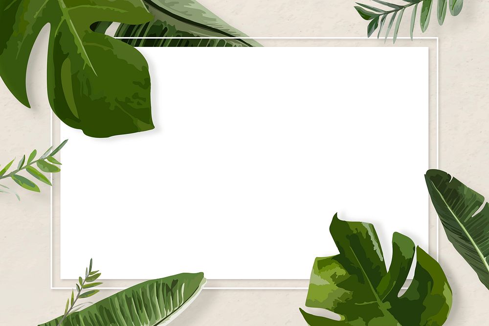 Green leaf frame vector border, Monstera plant