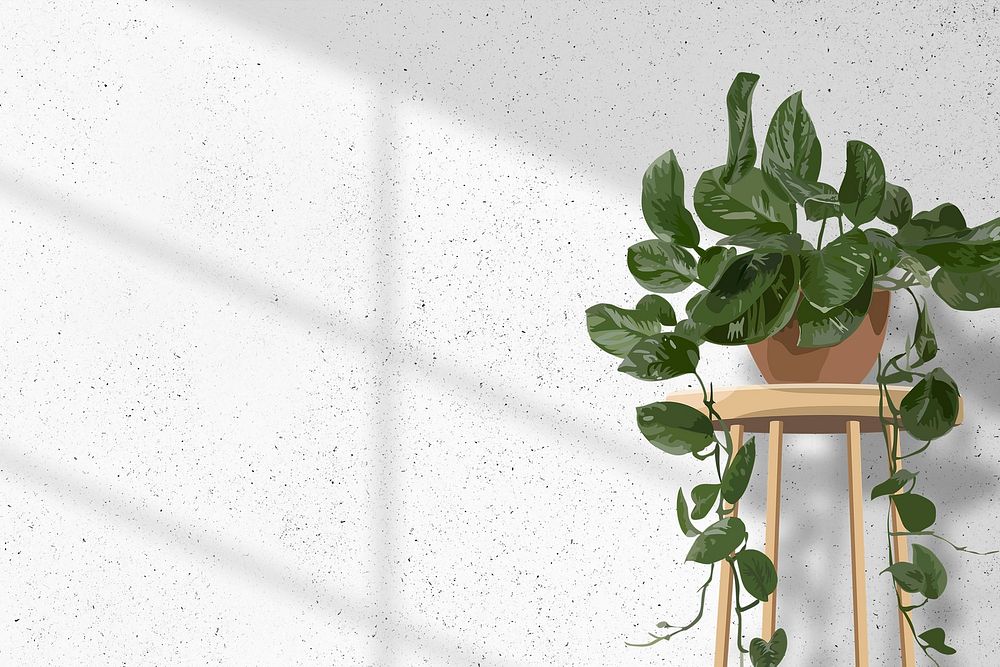 Aesthetic plant background psd, pothos white wall with natural light