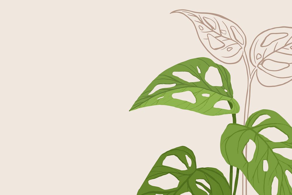 Houseplant background psd monstera swiss cheese plant illustration