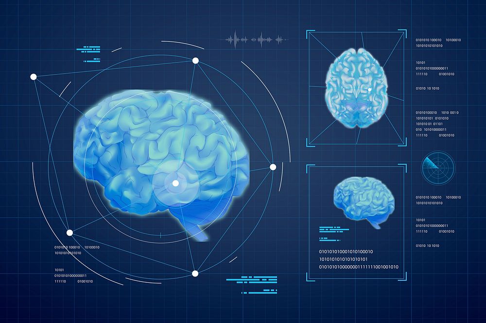 Brain medical holography screen psd