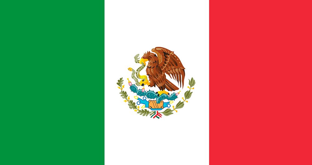 Illustration flag of Mexico vector