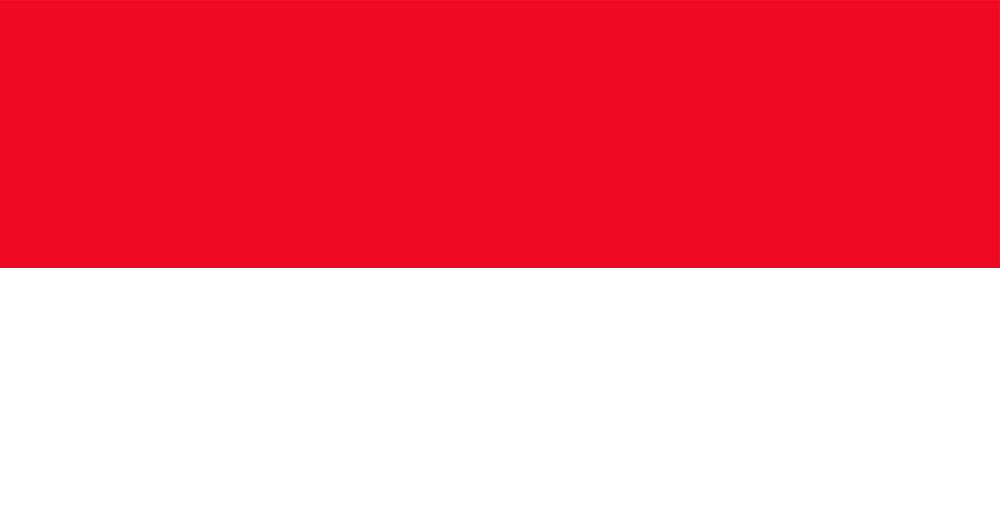 Illustration of Indonesia flag vector