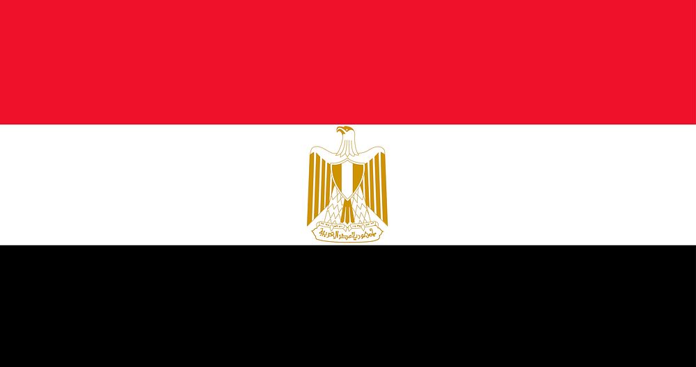 Illustration of Egypt flag vector