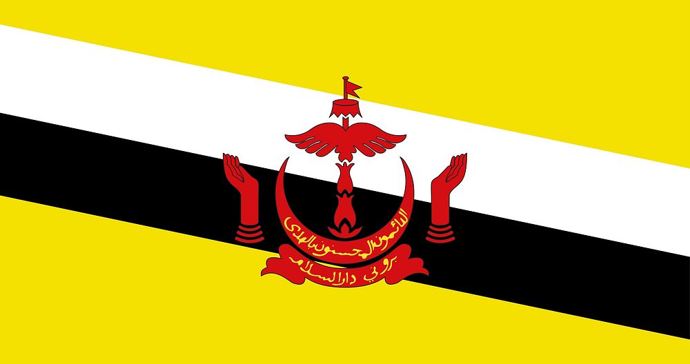 The national flag of Brunei vector